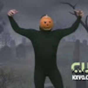 Meet your Posher, Lacey